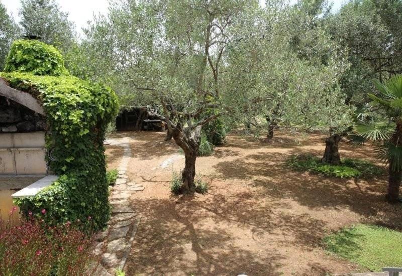 Apartment Plava Plaza Vodice Eksteriør billede