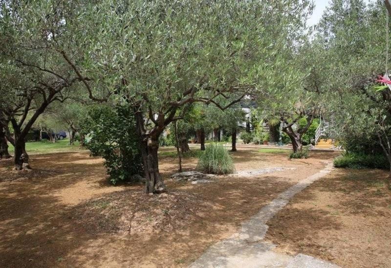 Apartment Plava Plaza Vodice Eksteriør billede